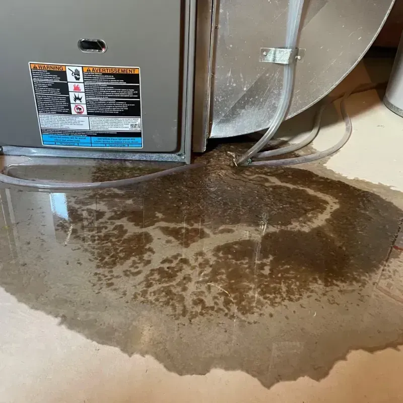 Appliance Leak Cleanup in Dover, PA